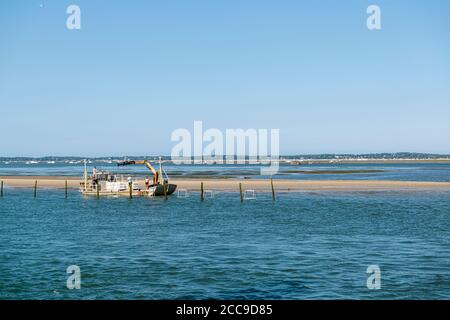 Oyster farming in the Arcachon Bay (south-western France): oyster farmer working on a barge in the oyster beds near L’ile-aux-Oiseaux (Bird's Island) Stock Photo