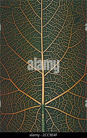 Distress tree leaves, leaflet texture on golden green background. Black and white grunge background. EPS8 vector illustration. Stock Vector
