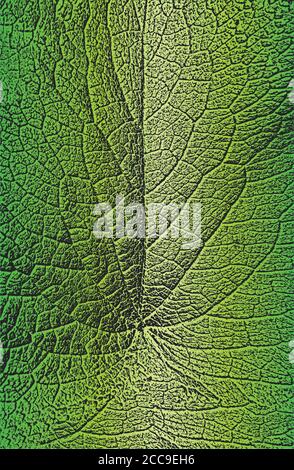Distress tree leaves, leaflet texture on golden green background. Black and white grunge background. EPS8 vector illustration. Stock Vector