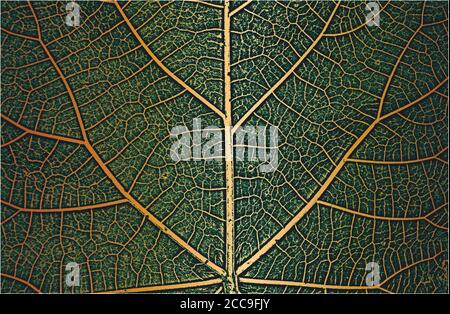 Distress tree leaves, leaflet texture on golden green background. Black and white grunge background. EPS8 vector illustration. Stock Vector