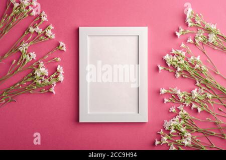 White empty photo frame mockup with mouse-ear chickweed flowers on pink purple background, top view copy space Stock Photo
