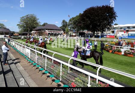 A general view of runners and riders in the parade ring ahead of the Sky Bet Lowther Stakes during day two of the Yorkshire Ebor Festival at York Racecourse. Stock Photo