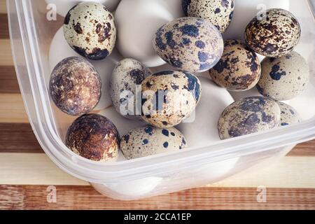 Boiled quail and chicken eggs in a plastic container. Close up. Stock Photo