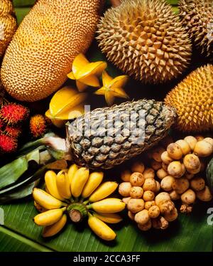 Tropical fruit varieties from S.E.Asia Stock Photo