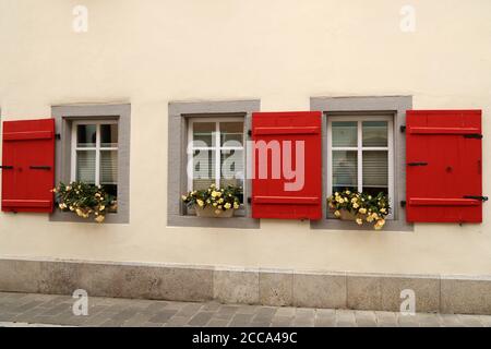 Beautiful flowers on the windows with shutters Stock Photo