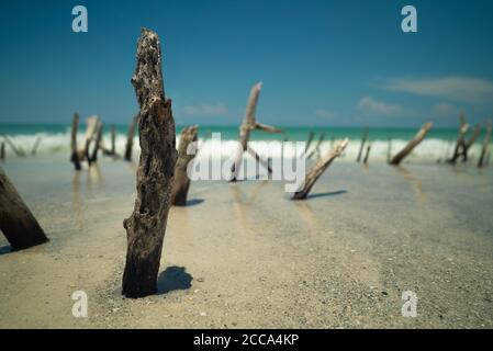 Taken on a secluded beach called Beer Can Island, FL Stock Photo