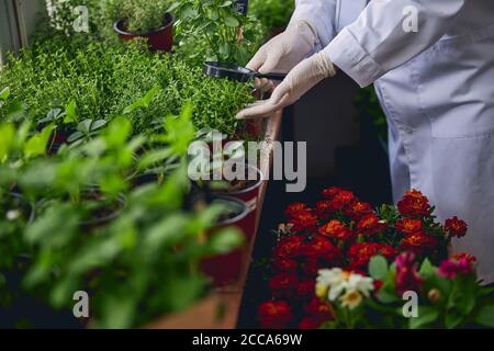 Blonde middle-aged woman using an optical device Stock Photo