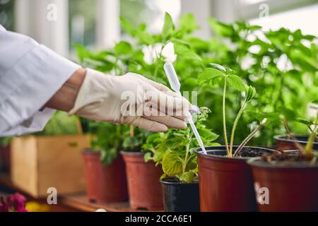 Female botanist conducting scientific research in a laboratory Stock Photo