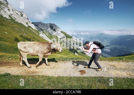Young man photographing swiss cow on mountain footpath. Mount Pilatus, Lucerne, Switzerland. Stock Photo