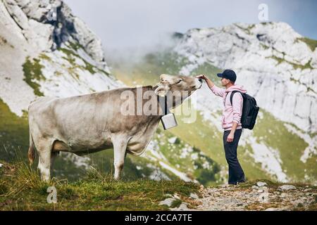 Young man stroking swiss cow on mountain footpath. Mount Pilatus, Lucerne, Switzerland. Stock Photo