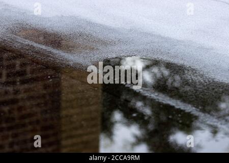 Neighboring brick building reflected in a rooftop puddle after a rainy day Stock Photo