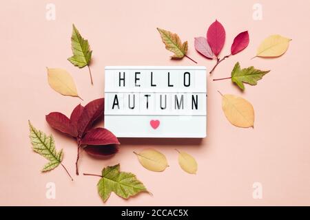 Hello autumn lightbox and colorful leaves on pastel background. Stock Photo