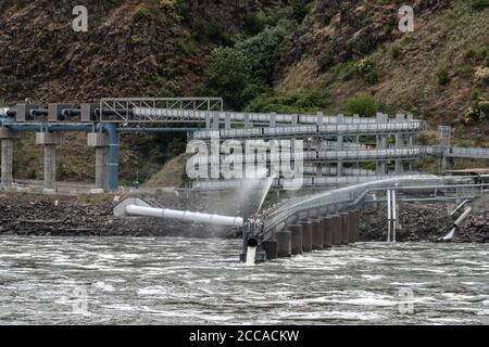 Fish Ladder at Lower Granite Dam, WA Stock Photo