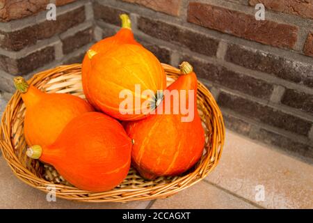 Straw basket with vibrant orange pumpkins as decoration on the floor against a brick wall Stock Photo