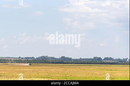 Irrigated rice plantation. Subsistence and precision agriculture. Farm ...