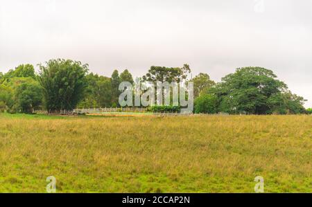 Image of cattle ranching and agricultural production areas in the state of Rio Grande do Sul, southern Brazil, bordering Uruguay. Pampa Biome Region. Stock Photo