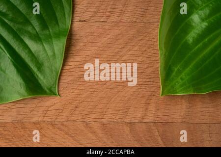 Green Leaves, Roadway Hosts, Shot Close-up Against Wooden Board Background Stock Photo