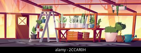 Glass greenhouse with plants, trees and flowers. Vector cartoon interior of empty hot house for cultivation and growing garden plants in pots. Botanical nursery for greenery Stock Vector