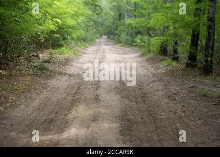country road in summer forest selective focus Stock Photo