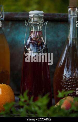 Kombucha second fermented fruit tea with different flavorings. Healthy natural probiotic flavored drink Stock Photo