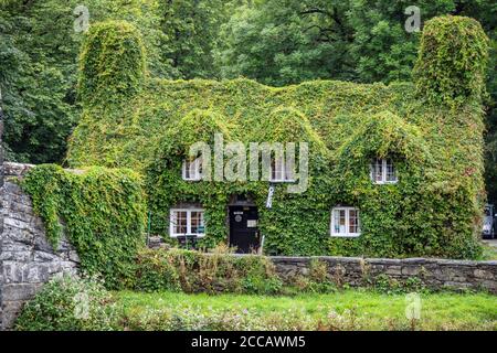Tu Hwnt i'r Bont, a 15th-century, grade II listed building in Llanrwst, Conwy, North Wales, UK, which is run as a tea room by the National Trust. Stock Photo