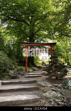 A red traditional gate at the Japanese garden at Egapark botanical gardens in Erfurt, Germany. Stock Photo