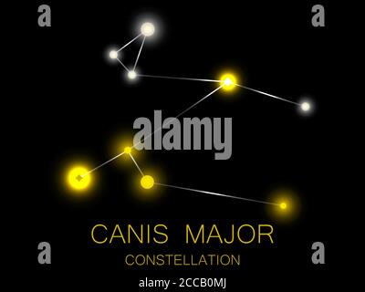 Canis Major constellation. Bright yellow stars in the night sky. A cluster of stars in deep space, the universe. Vector illustration Stock Vector