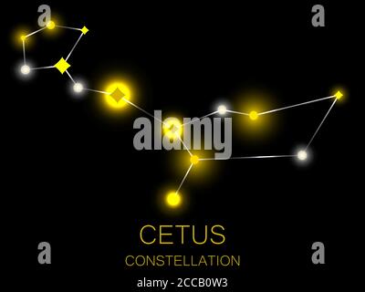 14 astrology signs symbols cetus