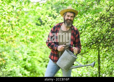 watering plants and flowers. Gardener pouring water from can. mature agricultural worker with watering can. caucasian male farmer in country. Gardening in vegetable garden. Stock Photo