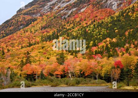 Stunning view of trees with brilliant autumn foliage growing along steep cliff of Mount Webster in Crawford Notch State Park, New Hampshire. Stock Photo