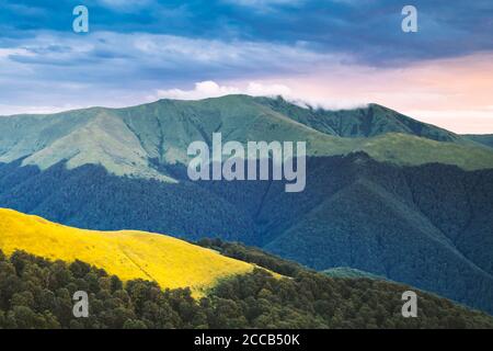 Picturesque summer landscape in Carpathian mountains. Green hills, forest and yellow meadows in fantastic evening sunlight Stock Photo