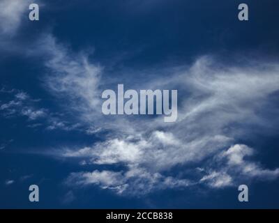 veil of thin clouds  blown by the winds  under a heavenly blue sky. Stock Photo
