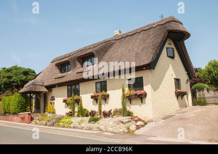 Window box full of flowers under the windows of a thatched country cottage with thatched porch and dormer windows and a weather vane on the roof. Stock Photo