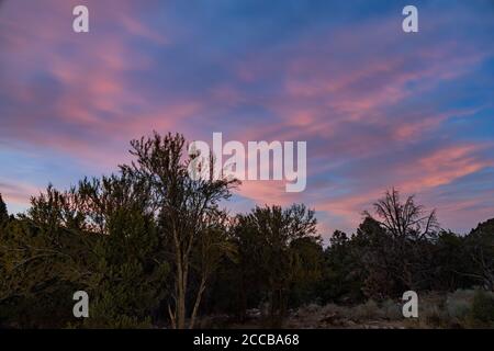 Sunset with beautiful afterglow with some trees at Great Basin National Park, Nevada Stock Photo