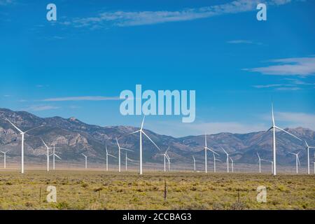 Sunny view of many windmill in a rural area at Nevada Stock Photo