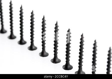 Screws still life large self tapping screws on white background. Stock Photo