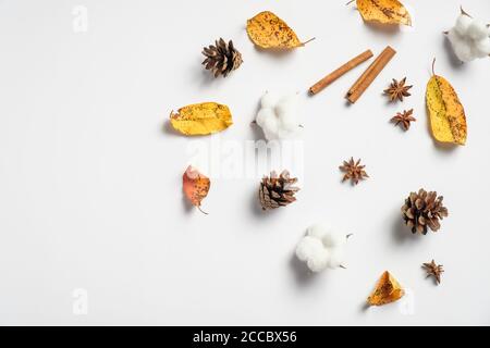 Autumn composition. Frame made of pine cones, cinnamon sticks, fallen leaves, cotton on white background. Autumn, fall concept. Flat lay, top view Stock Photo