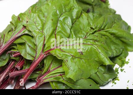 Leaves of beet tops on the table surface. Taken in close-up . Stock Photo