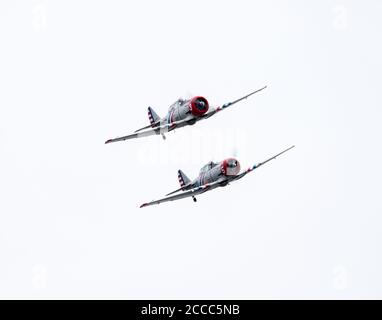 Two of the world famous Geico Skytyppers, flying their T-6 Texans in formation at the Westfield Airshow 2017. Stock Photo