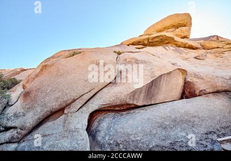 Rock formations in Joshua Tree National Park at sunset, California, USA. Stock Photo