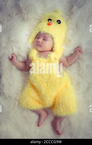 Baby portrait  :Happy sleeping Asian baby wearing yellow rooster for Chinese sign of zodiac year dress suit sleep on furry soft fabric Stock Photo