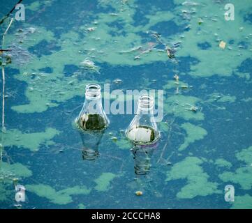 Two glass bottles floating on the surface of water. Stock Photo