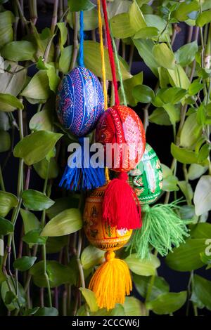 Four color Easter eggs hanging on green leafs – decoration for holiday celebration Stock Photo