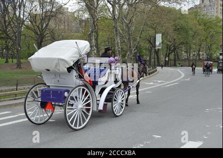 Horse and carriage in New York's Central Park. Stock Photo