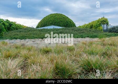 The roof of the University of Warsaw Library  is completely covered with vegetation. Stock Photo