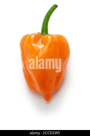 habanero hot chili pepper isolated on white background Stock Photo