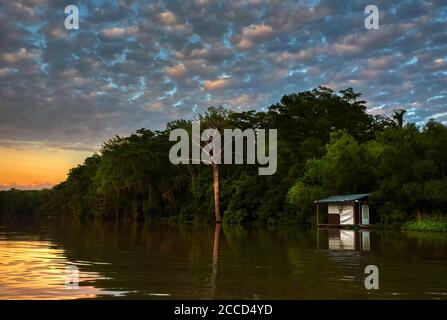 Pearl River Bayou, Swampland, Slidell, Louisiana Stock Photo