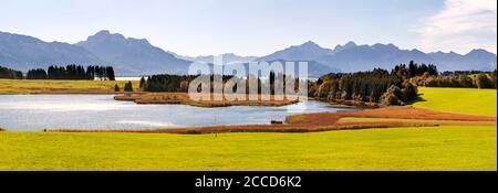 Panorama von See und Blumenwiese im Frühling Stock Photo