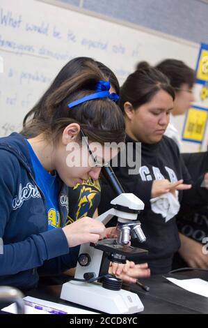 High School students march in the 36th annual Dr. Martin Luther King Jr ...