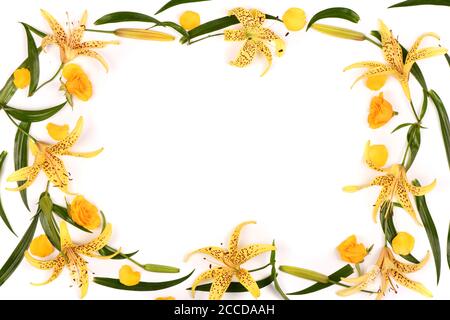 Beautiful yellow lily flowers set out with a frame. Isolated on white background. High resolution photo. Full depth of field. Space available for text Stock Photo